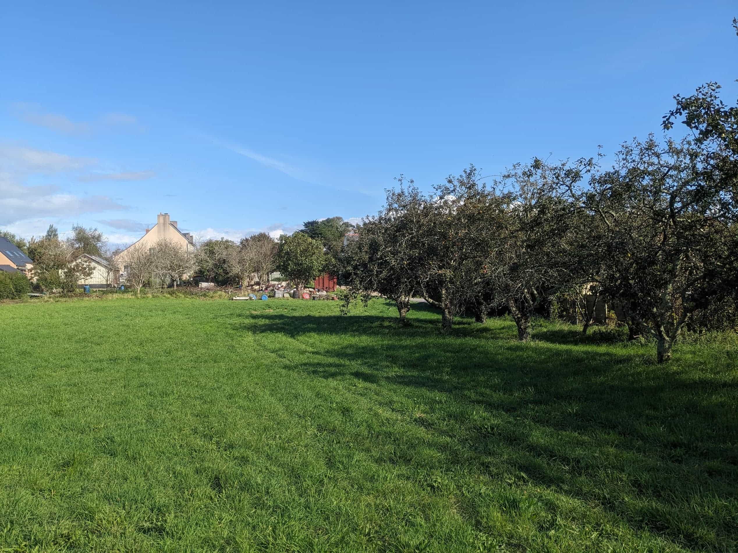 Lot 2 – Vue du terrain du futur lotissement