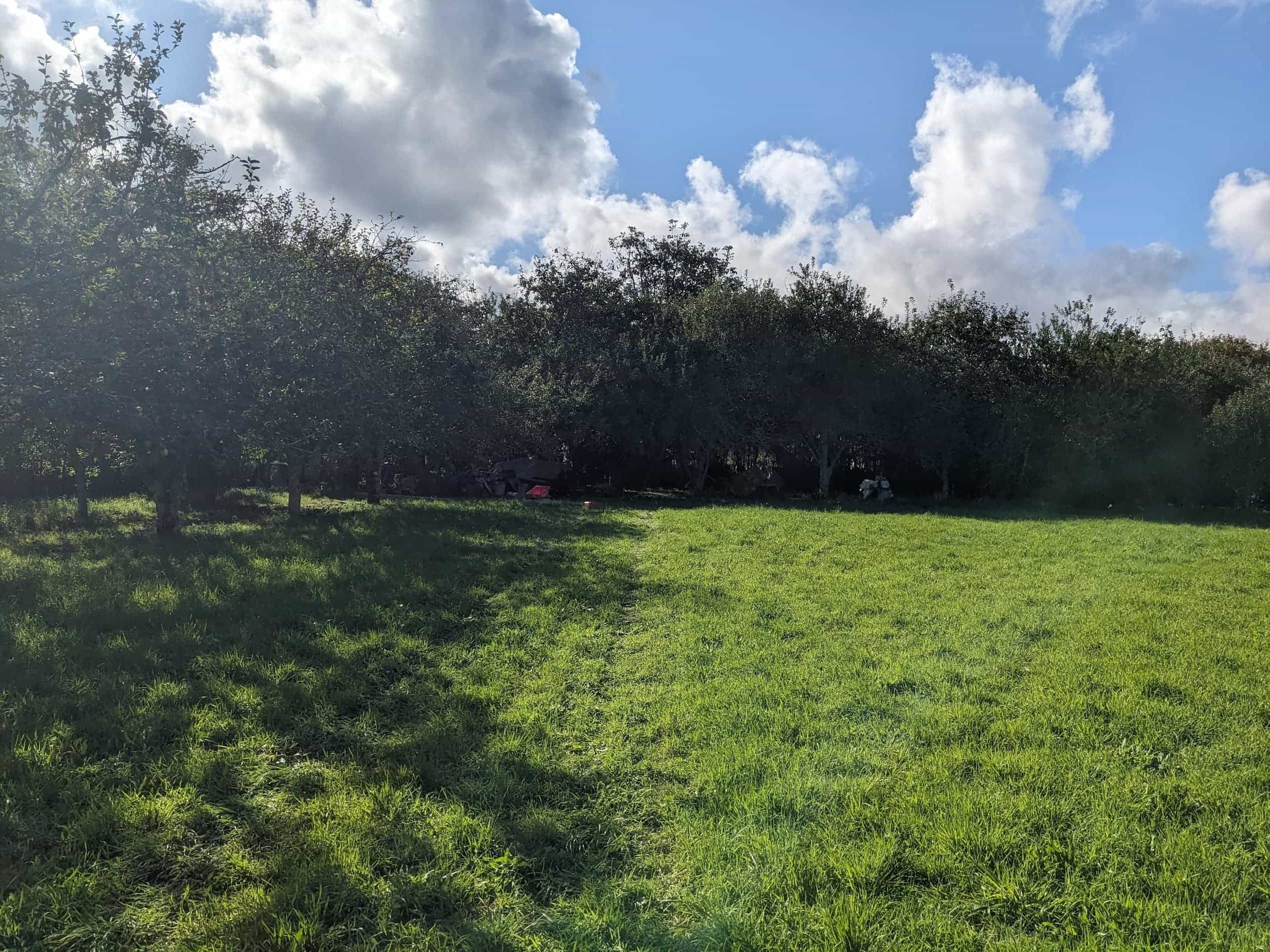 Lot 2 – Vue du terrain du futur lotissement